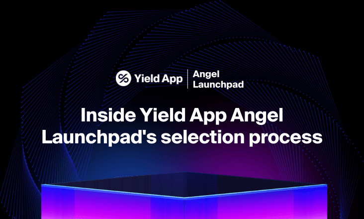 Inside Yield App Angel Launchpad's selection process