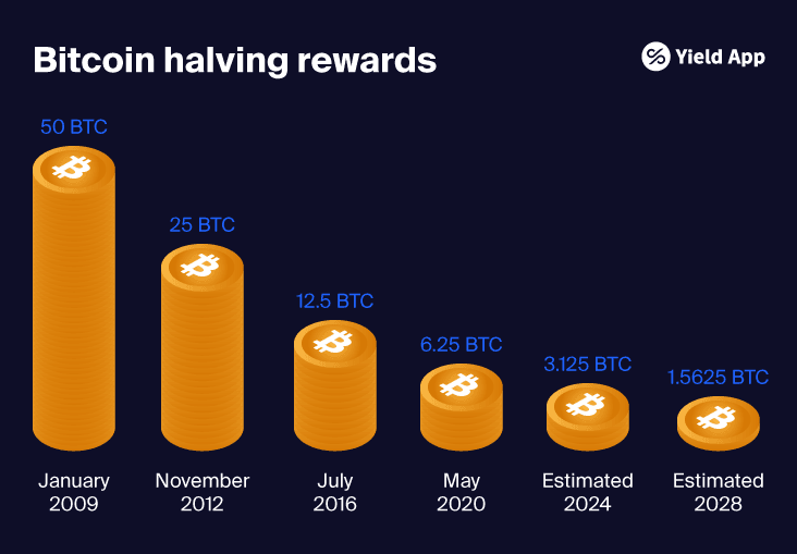 2023_Demystifying the Bitcoin halving blog-05.png
