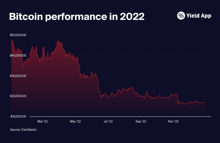 2023_Demystifying the Bitcoin halving blog-08.png